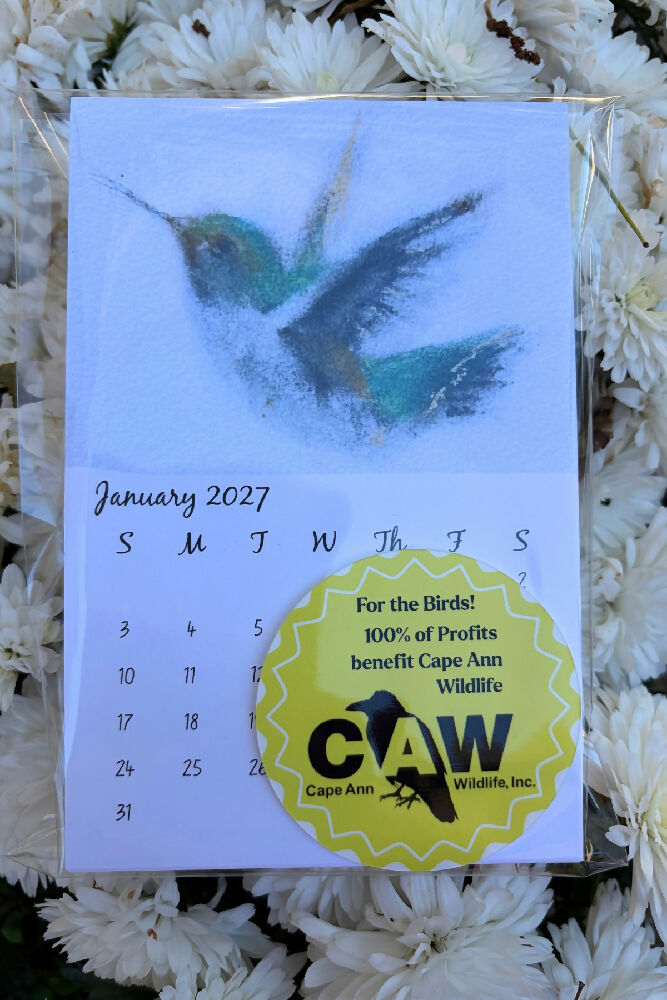 Animal Art Calendar 27 Packaged