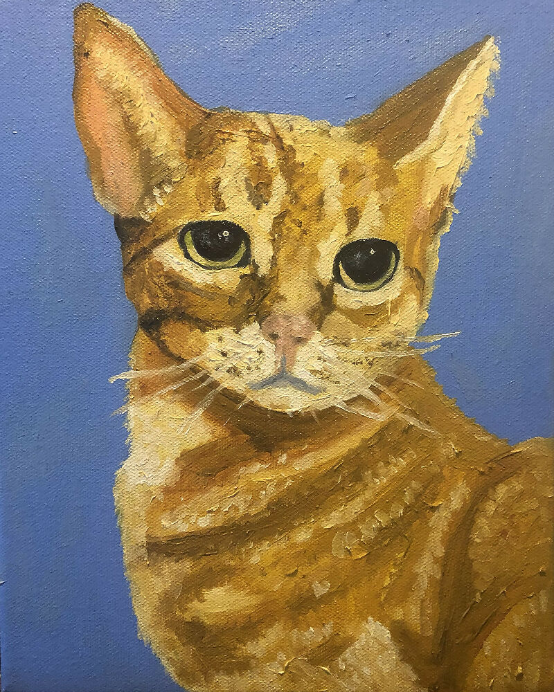Orange Kitty