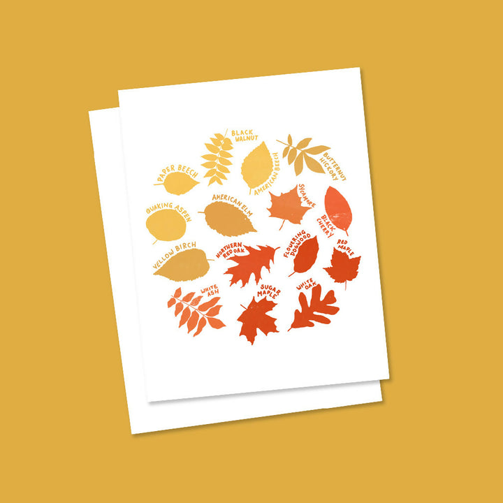 new-england-leaves-on-yellow