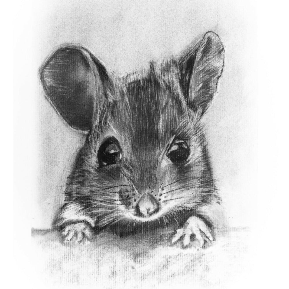 Little Grey Mouse Giclee Print in handmade gilt frame