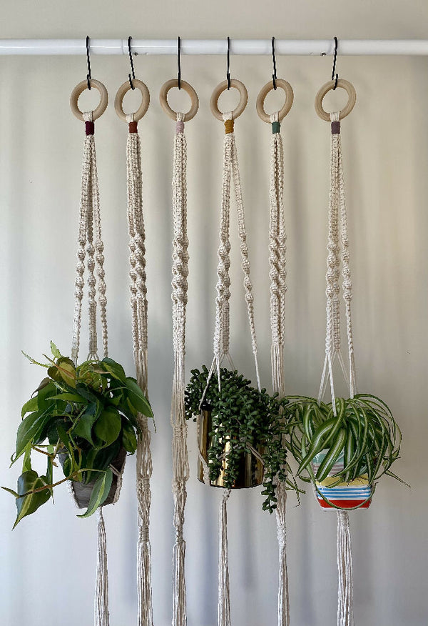 plant hangers 1