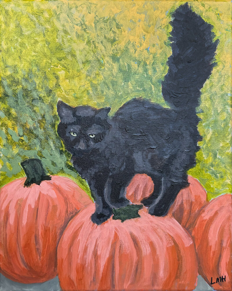 Spooky Cat