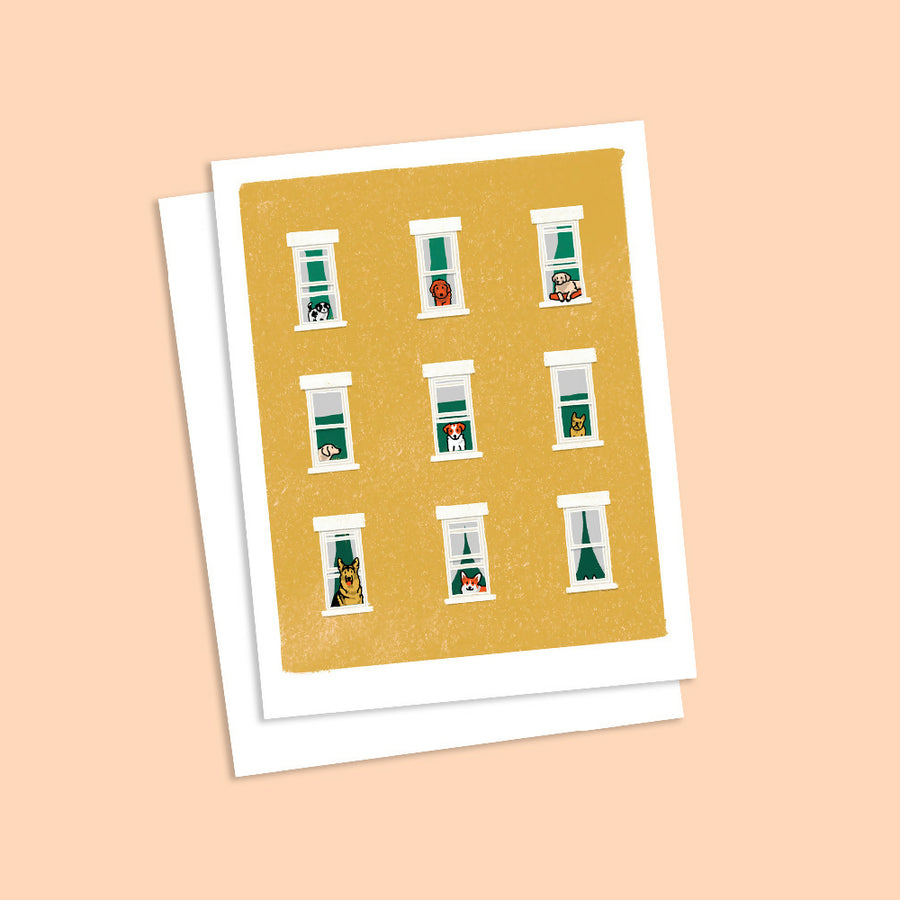dogs in windows card on peach