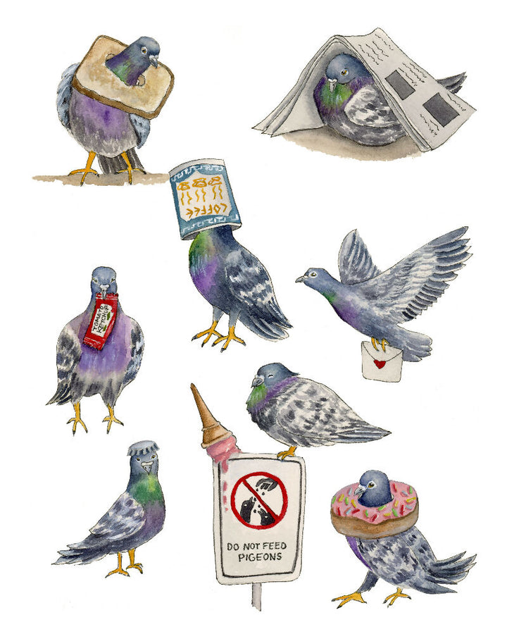 Pigeon2