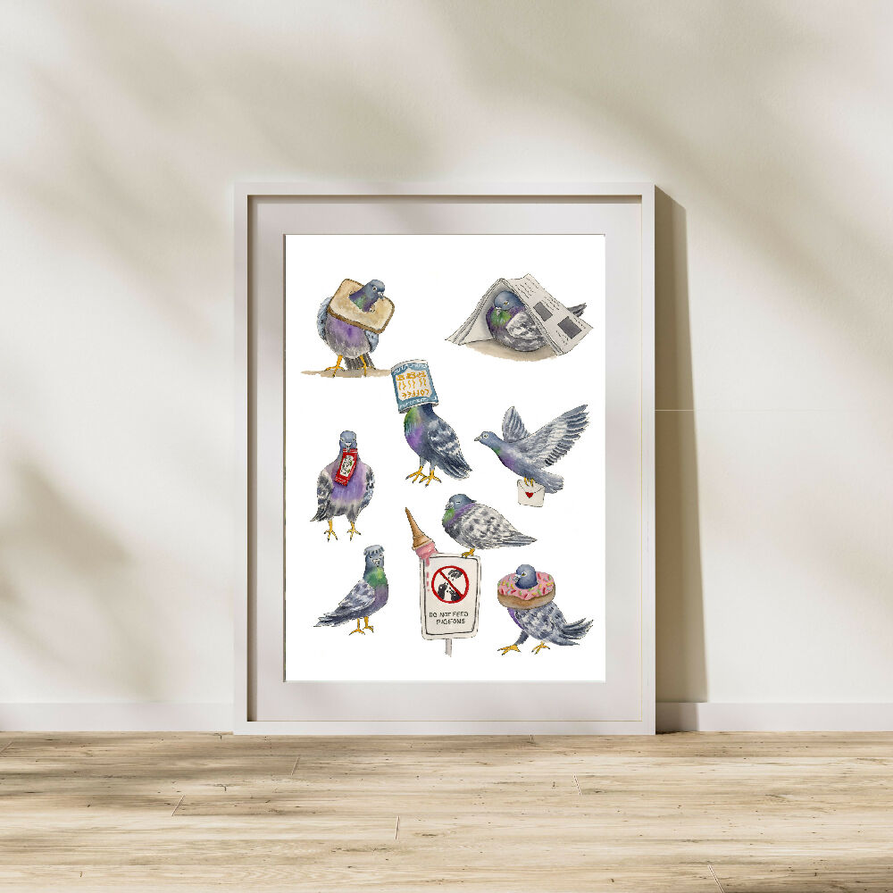 Pigeon5