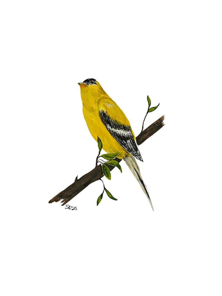 goldfinch