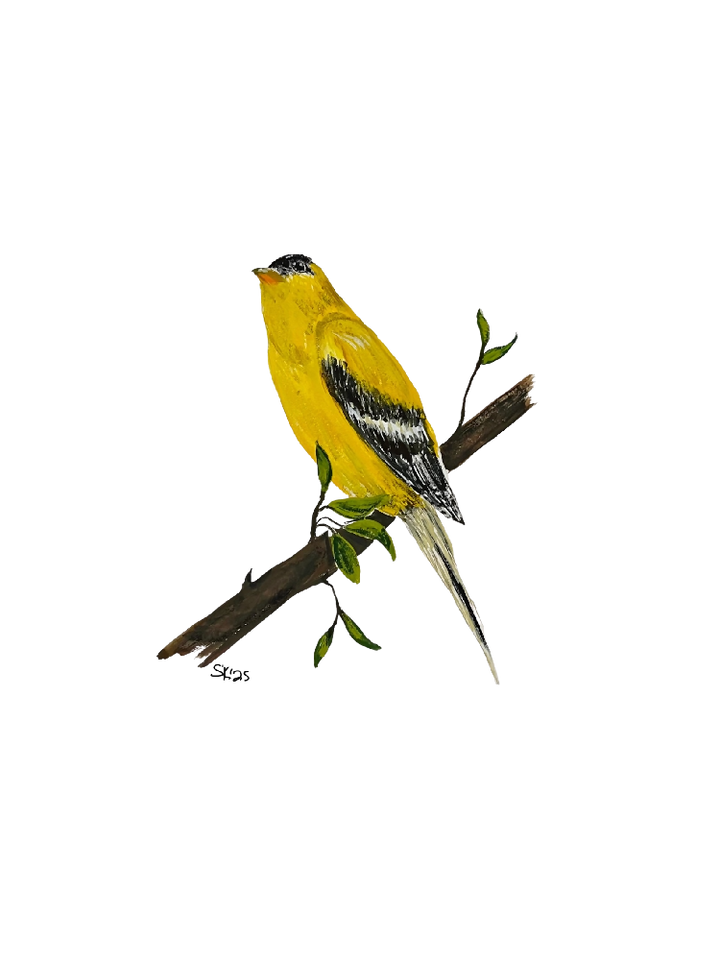 goldfinch