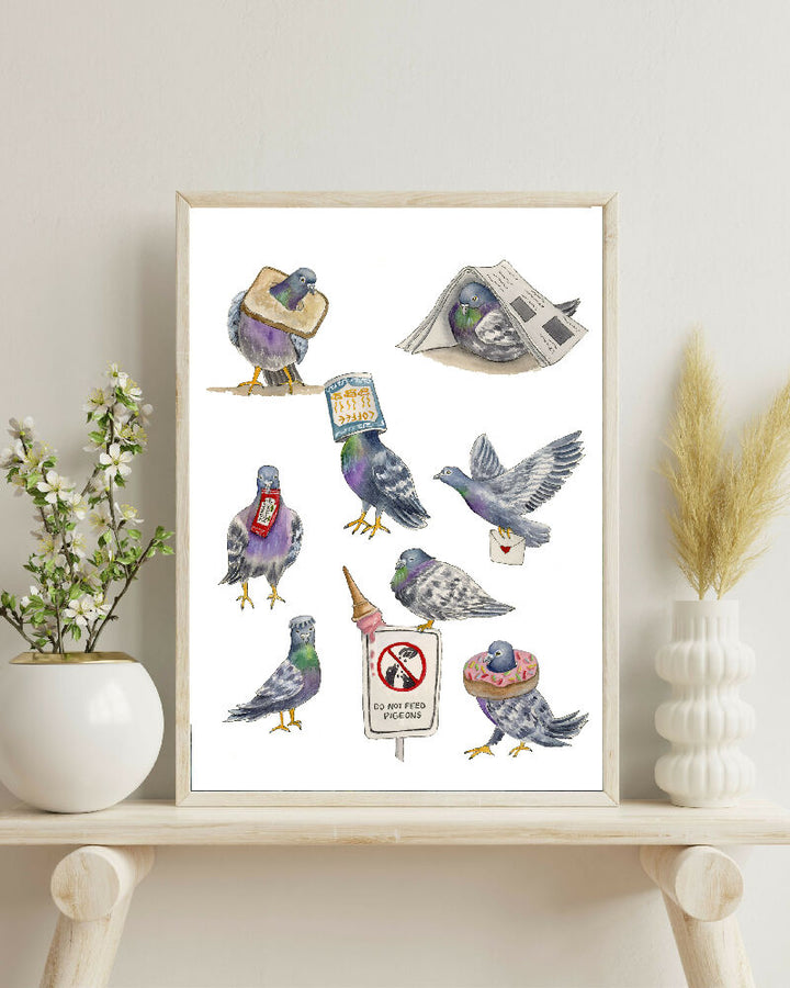 Pigeon4