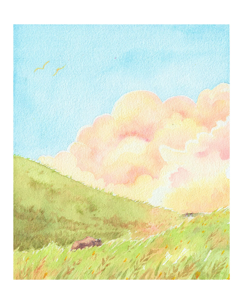 Bison 8x10 more sat