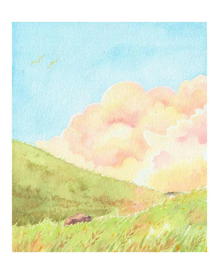 Bison 8x10 more sat